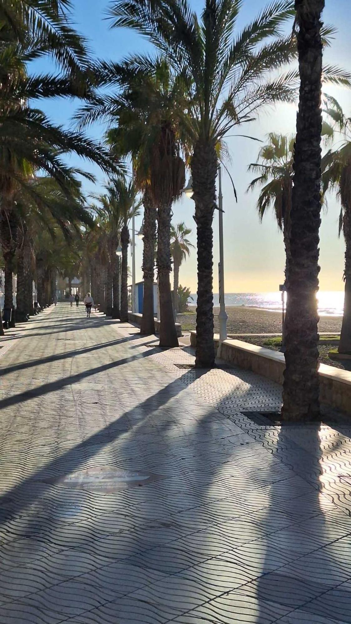 Mar De Plata *