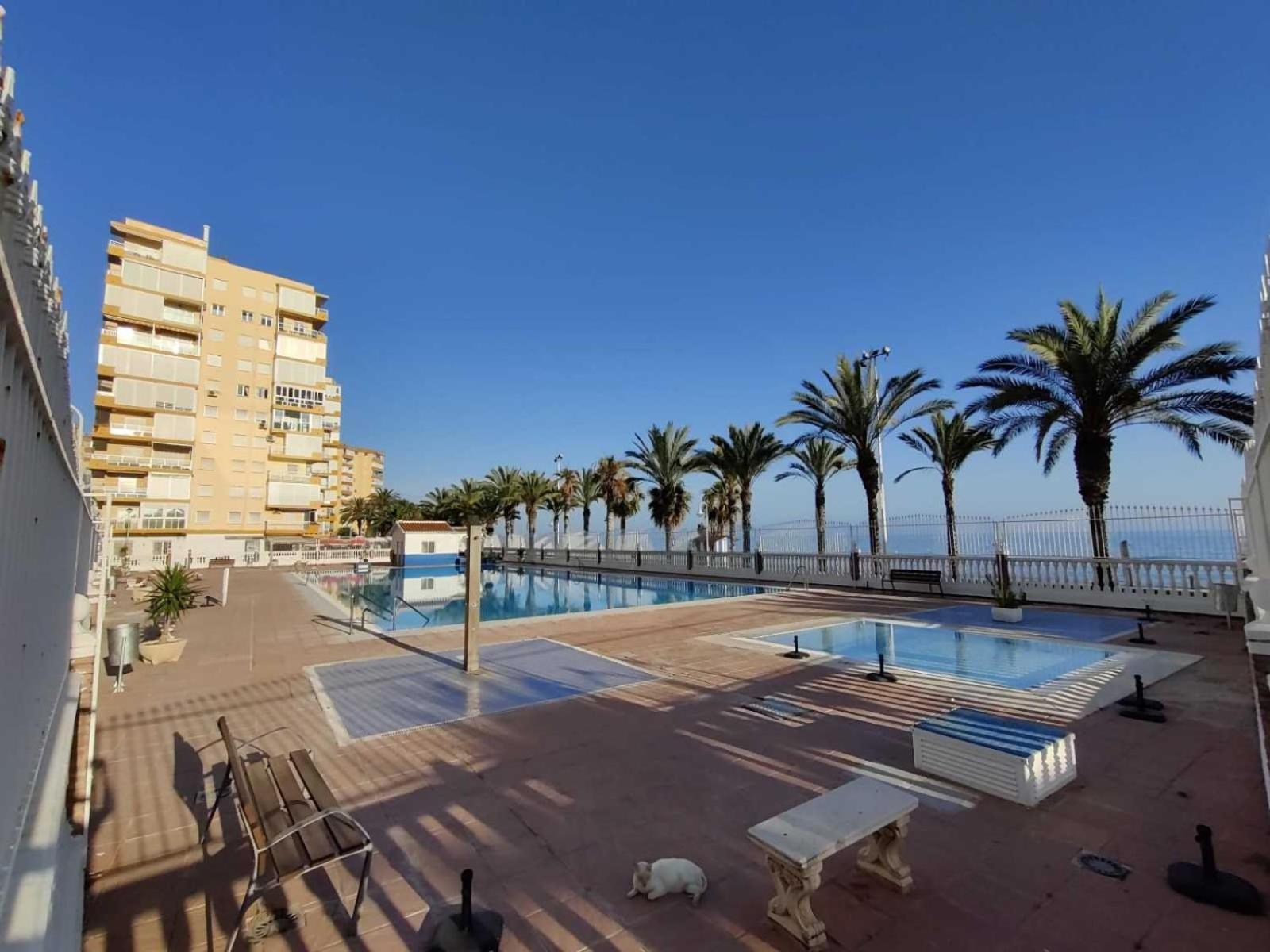 Mar De Plata Apartment